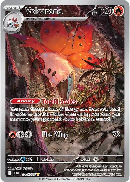Volcarona - 100/086 - SV: Black Bolt