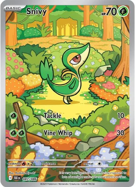 Snivy - 087/086 - SV: Black Bolt