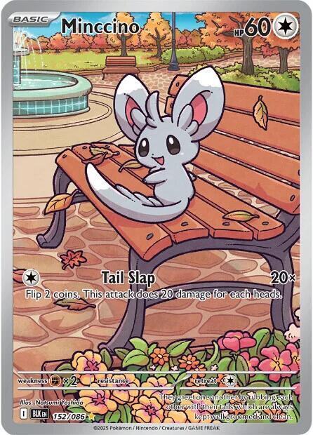 Minccino - 152/086 - SV: Black Bolt