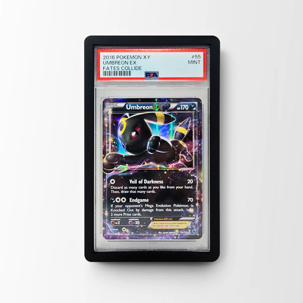 Dragon Scales PSA Bumper Guard Solid Black