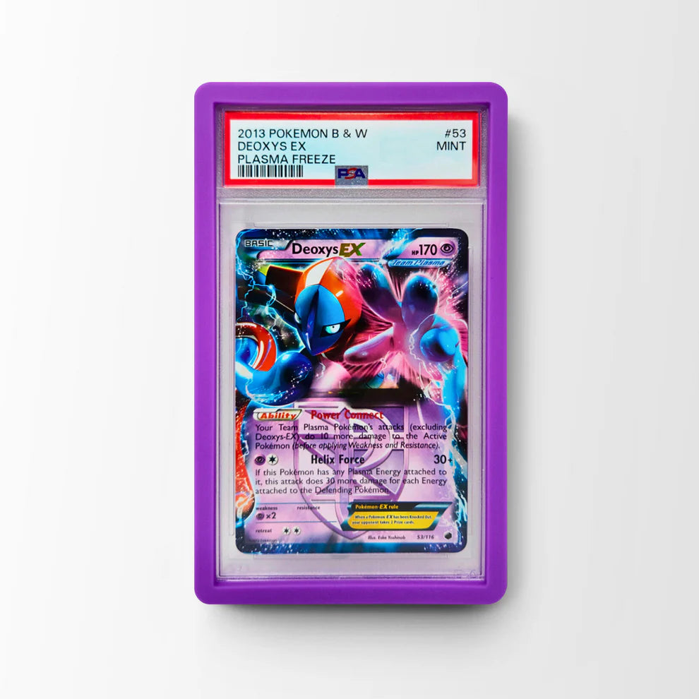 Dragonscale PSA Bumper Guard Solid Purple